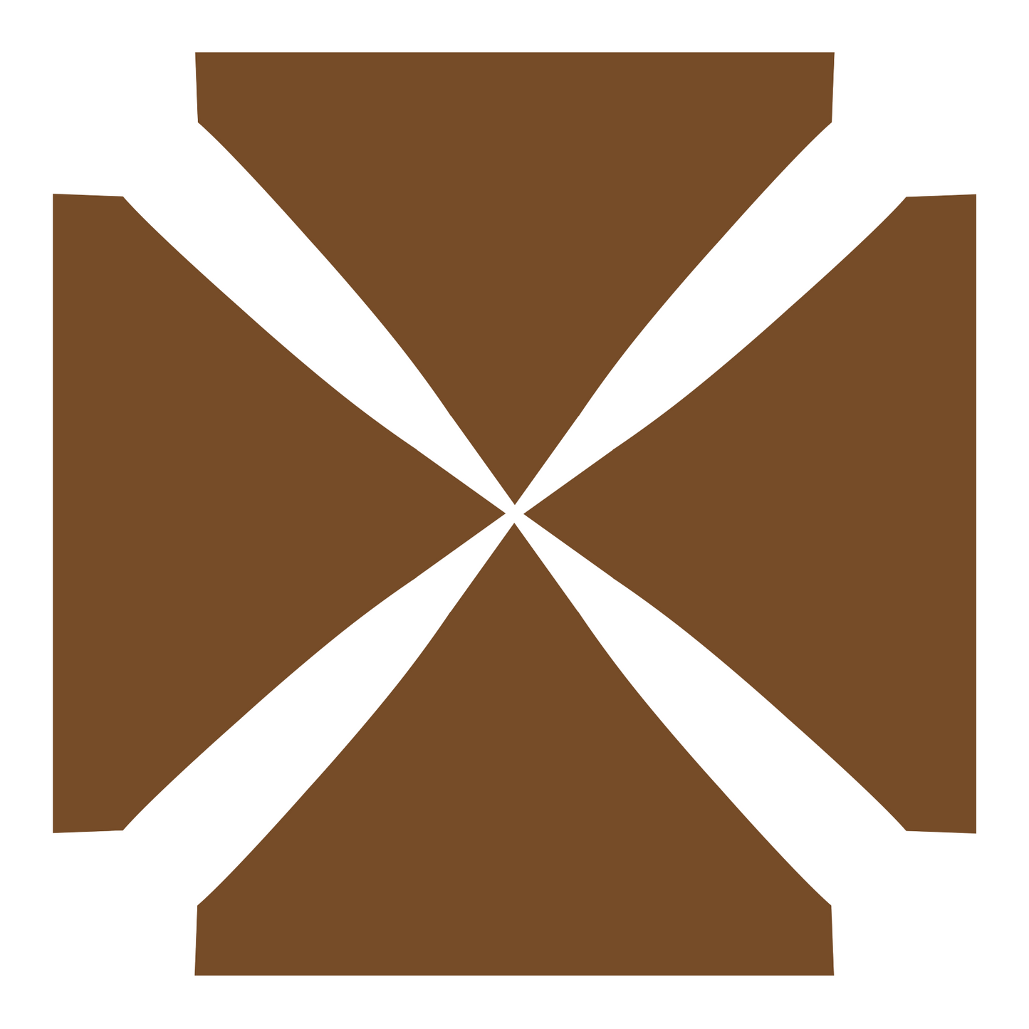 10x10 Blank Canopy Top (color options available)
