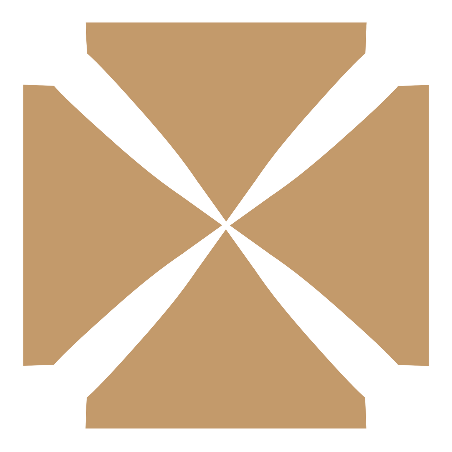 10x10 Blank Canopy Top (color options available)